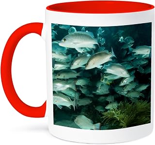 3dRose Mahogany Snapper fish, Hol Chan, Belize - SA02 SWS0054 - Stuart Westmorland 15oz Two-Tone Red Mug