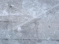 Review Image by Joe H. Joe H.