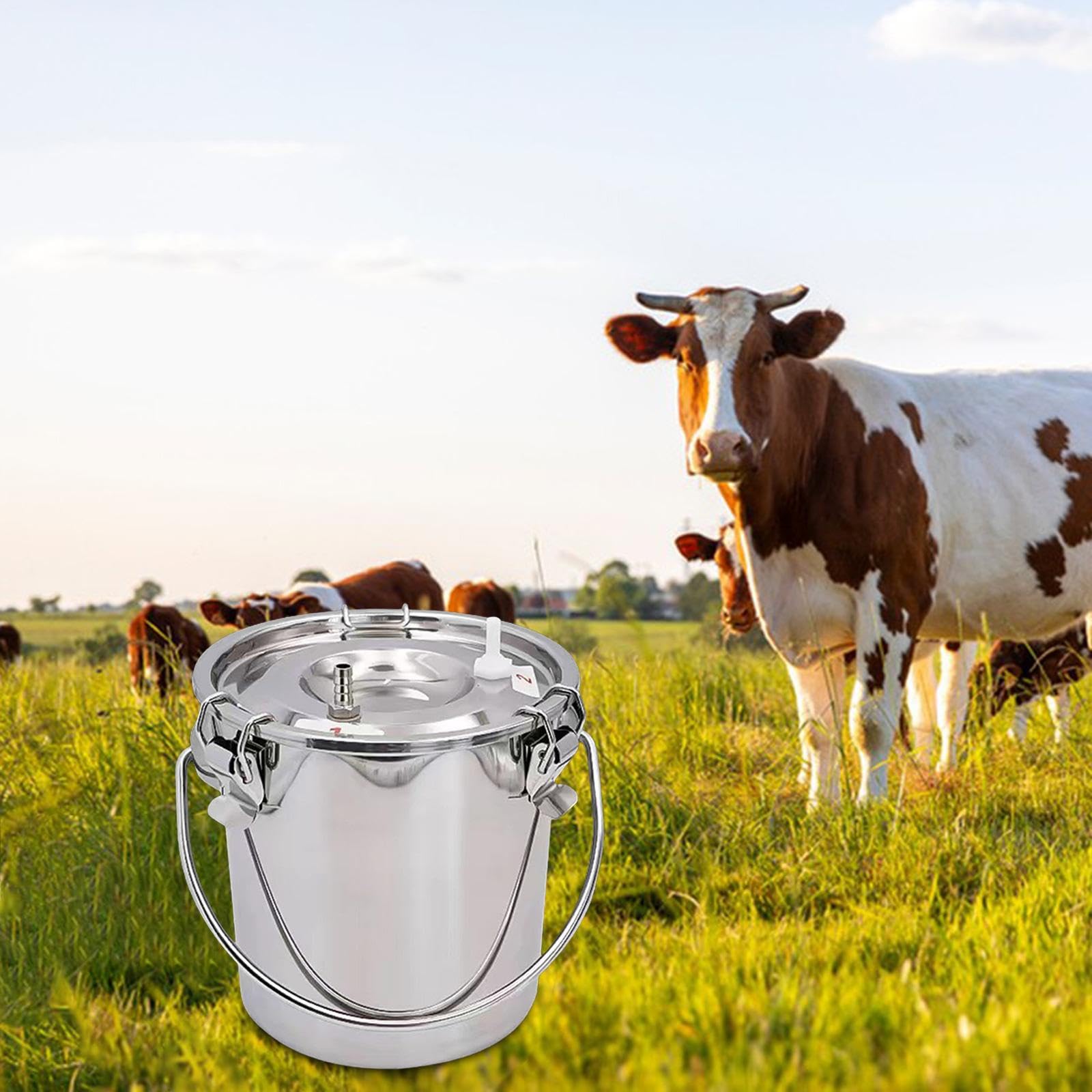 Juego de 2 cubos de ordeñadora para ordeñadora, para vaca, oveja, caballo, 3 L, plateado