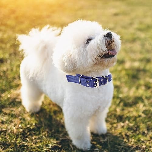 Miniatura 6 de DOITOOL Collar de vaca de nailon grueso con hebilla de metal y anillo de metal con hebilla de metal para caballo, oveja, ganado, perro, camello