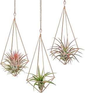 Dahey 3 Pcs Hanging Air Plant Holder Himmeli Geometric Planter Metal Airplant Rack Tillandsia Hanger with Chain in Modern ...