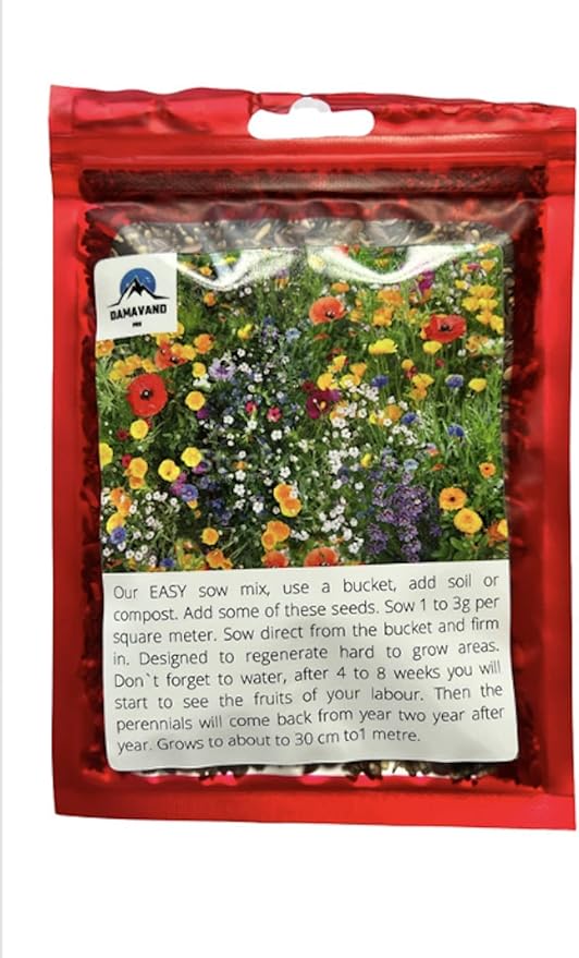 (1kg) Wild Flower Meadow Seeds Mix UK, Garden Best Seeds for Bees and