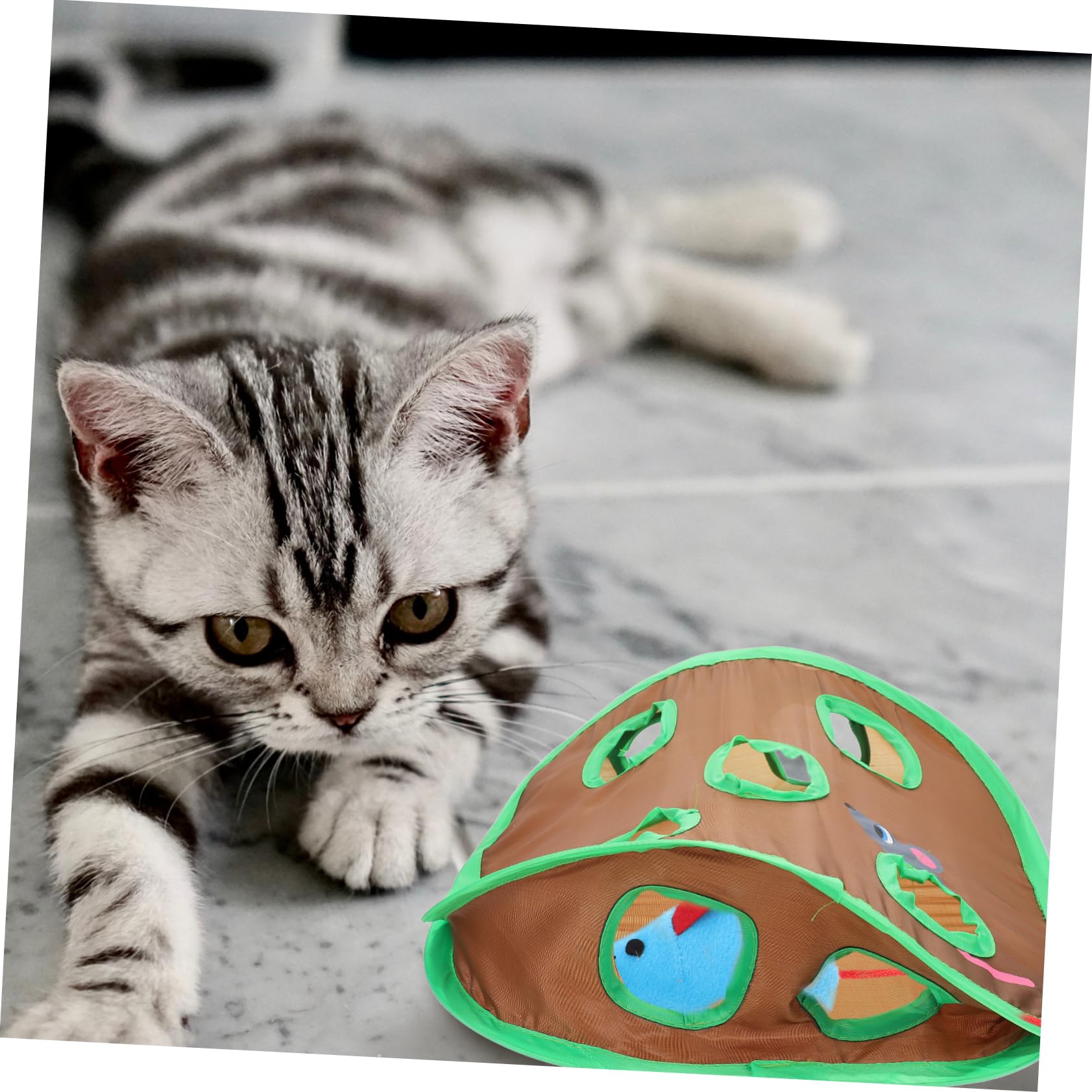 DOITOOL 5ensembles Tunnel De Jeu Interactif pour Chat avec Design Souris Jouet Exploration pour Chaton Et Chat pour Divertissement