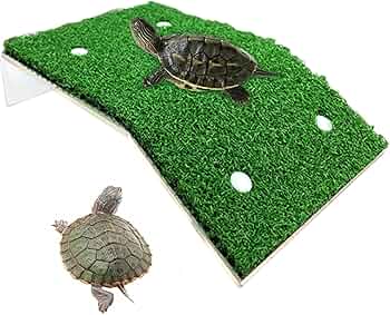 71hGLIEixPL._AC_UF350,