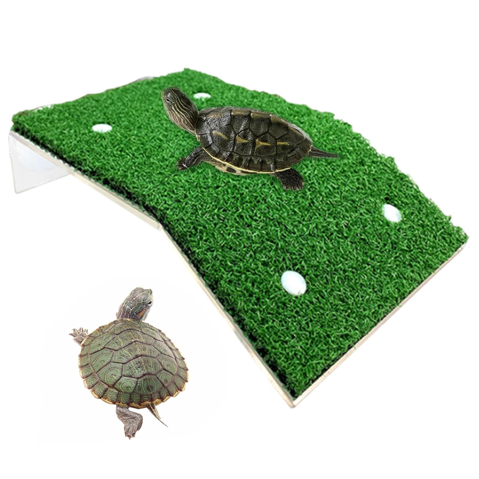 Amazon.co.jp: カメのバスキングスロープ - 中型カメ用バスキング