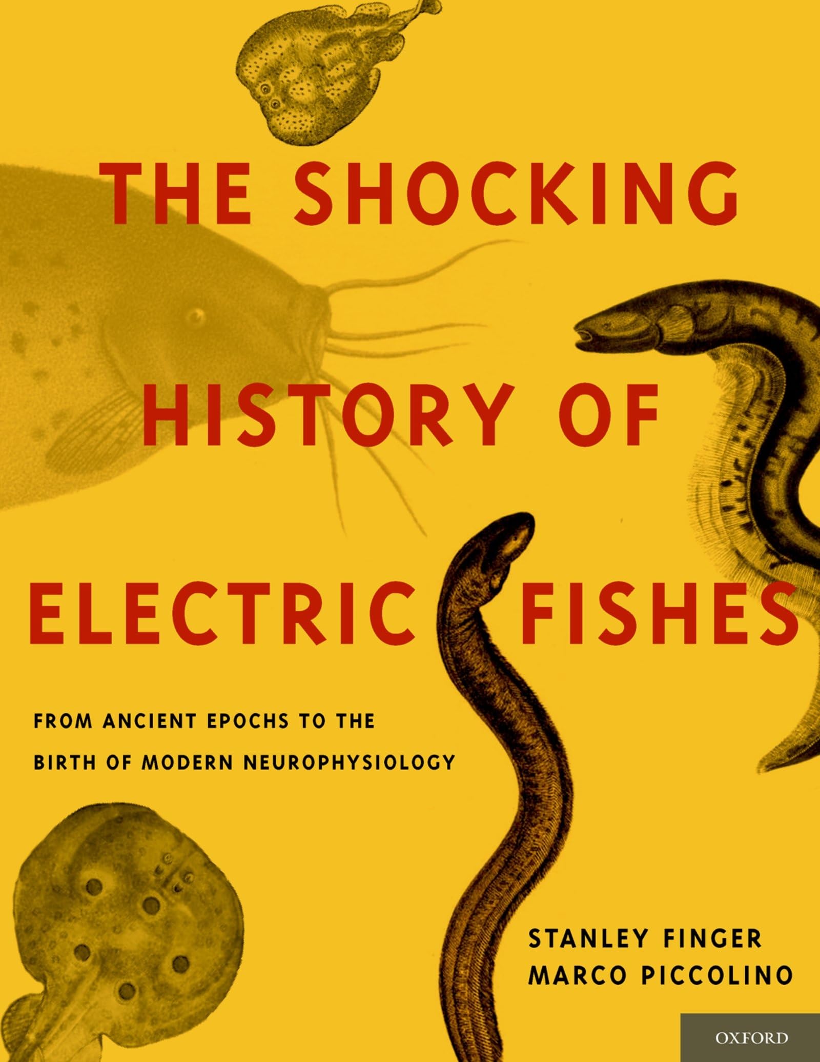 The Shocking History of Electric Fishes: From Ancient Epochs to the Birth of Modern Neurophysiology 1st Edition