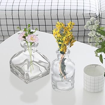 Amazon.com: Hedume Set of 10 Small Glass Flower Vases, Clear