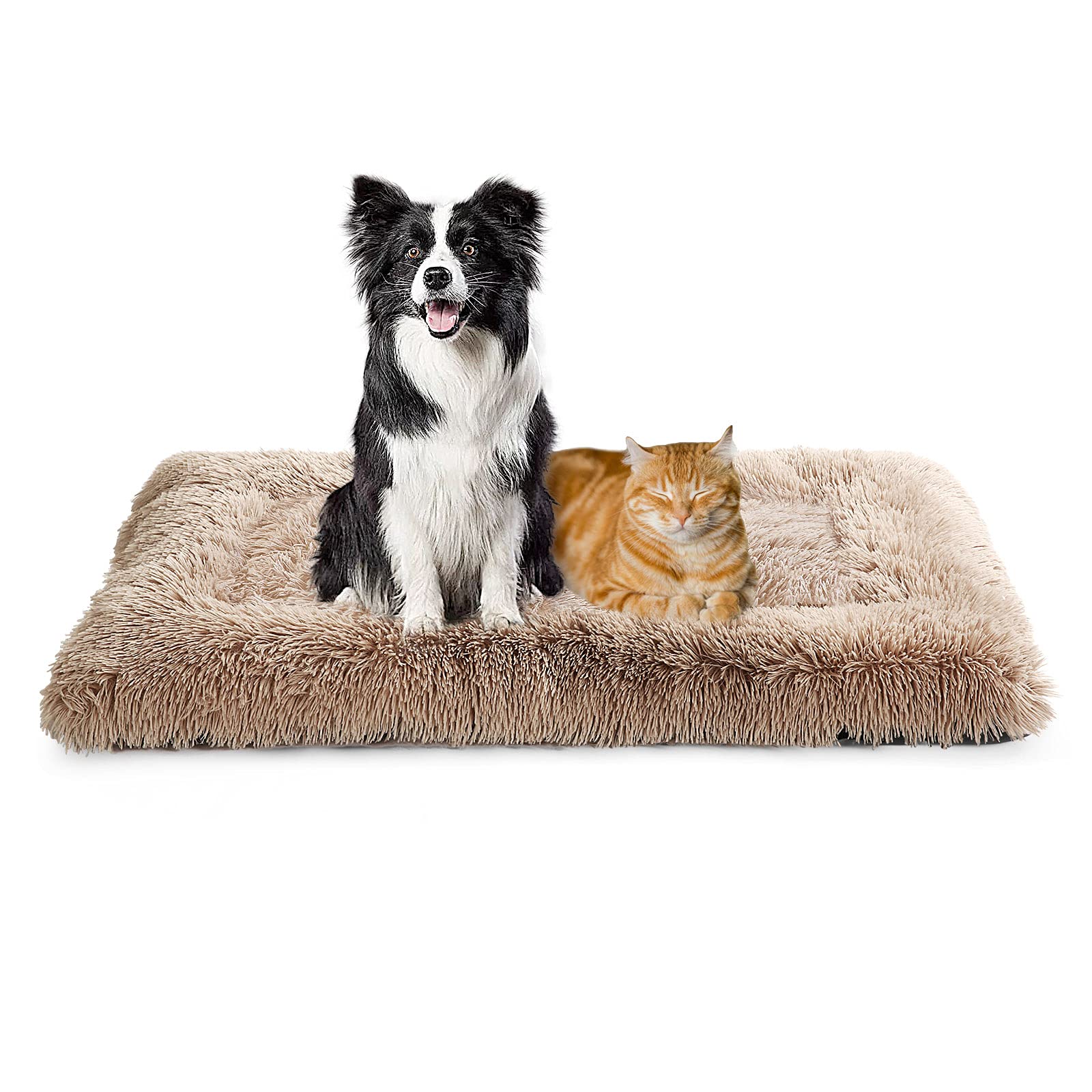 How Often Should I Wash Puppy Bedding