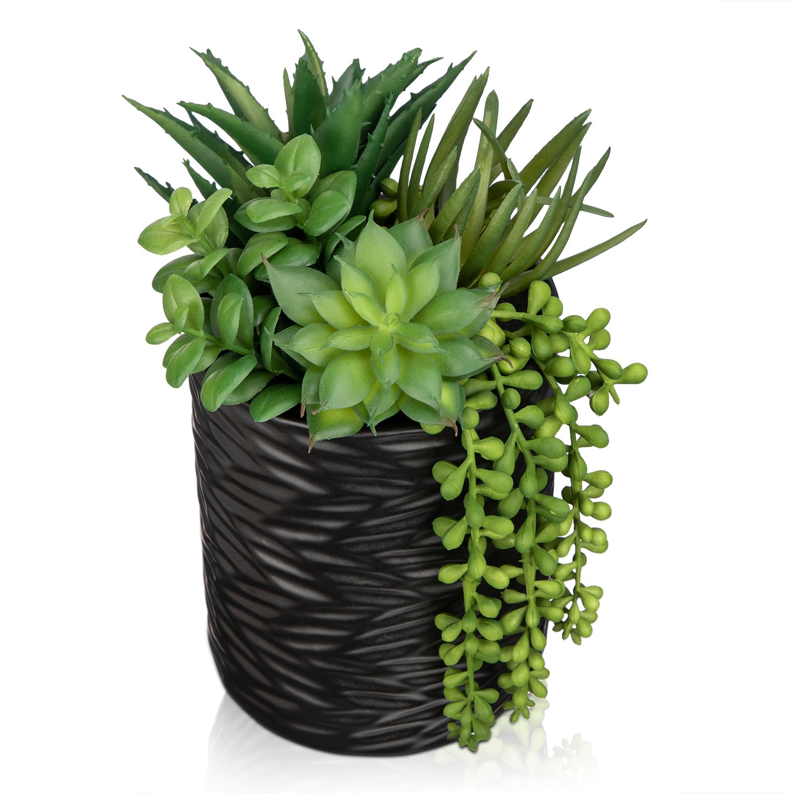 Hollyone Artificial Succulents in Pots Faux Succulents Plants Fake Succulent Arrangement Potted Plants with Black Ceramic Vase for Office Desk