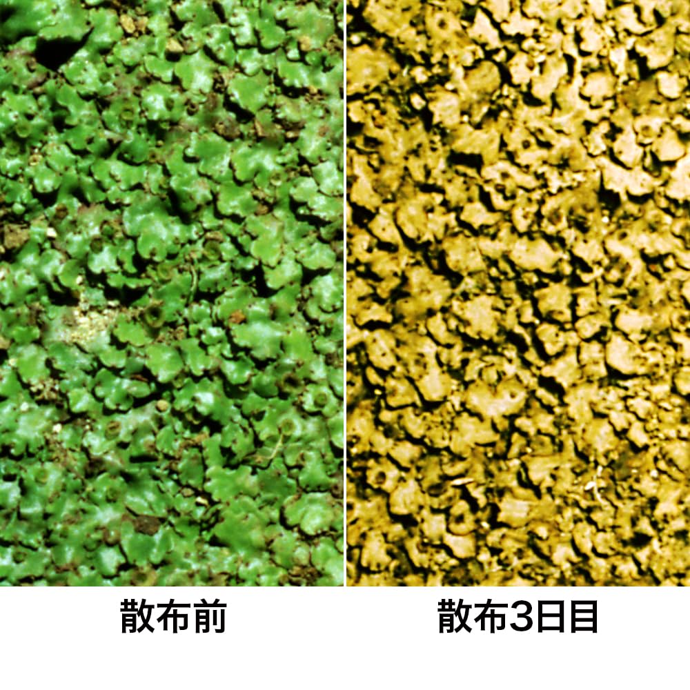 Amazon.co.jp: レインボー薬品 コケレス 25g×2: ドラッグストア