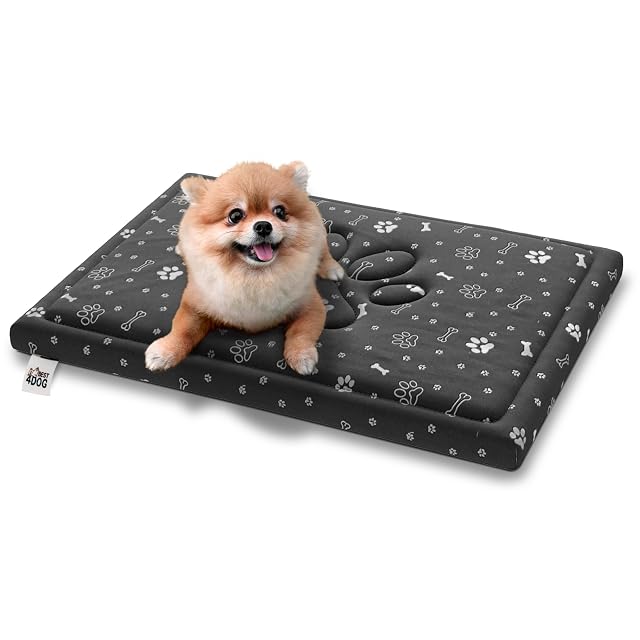 FDM Fifi Cama para perros pequeños, 70 x 60 cm, impermeable, antideslizante, cojín para perros
