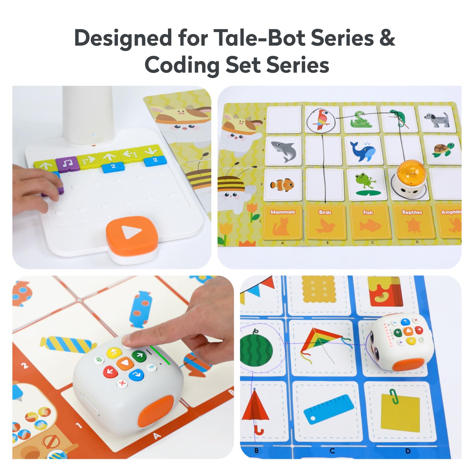 Mapa de Exploración para Tale BOT Pro y Coding Set Ciencia, Matemáticas y Estudios Sociales Set de Ciencias para Que los Niños Aprendan