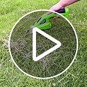 Image of 2-in-1 Cordless Hedge Trimmer, Handheld Shrub Trimmer, 8.4V Battery, Dual-Edge Blade, Lightweight Grass Shears for Lawn, Garden & Shrubs, Easy One-Hand Operation, 3 Month Warranty