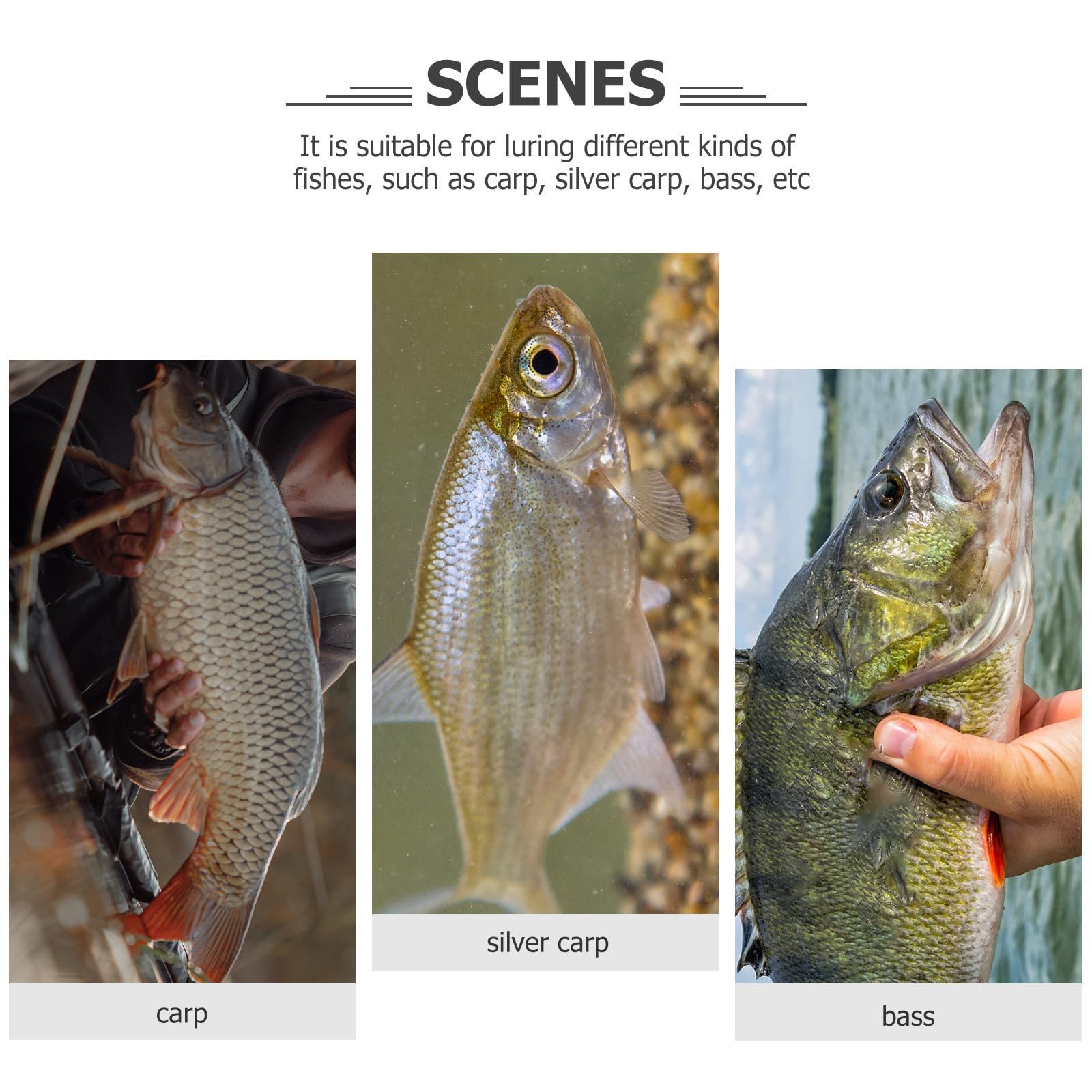SHINEOFI Red de Pesca Manual para Lanzar Red de Pesca Rápida de Hundimiento Línea y Metal Adecuado al Aire Libre y Captura de Cebo