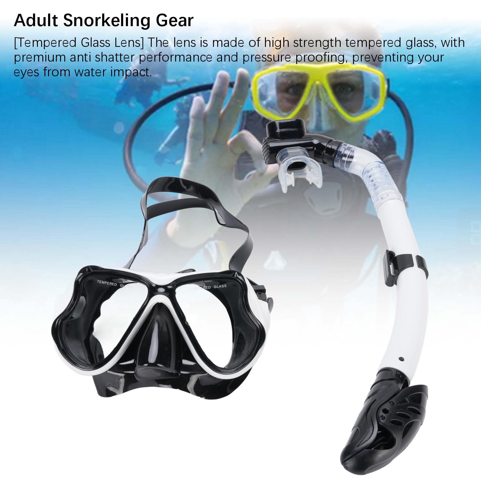Dry Snorkel Set for Adults Teen, Panoramic Wide View, Anti Fog Diving Mask, Professional Snorkeling Gear (Black) (White)