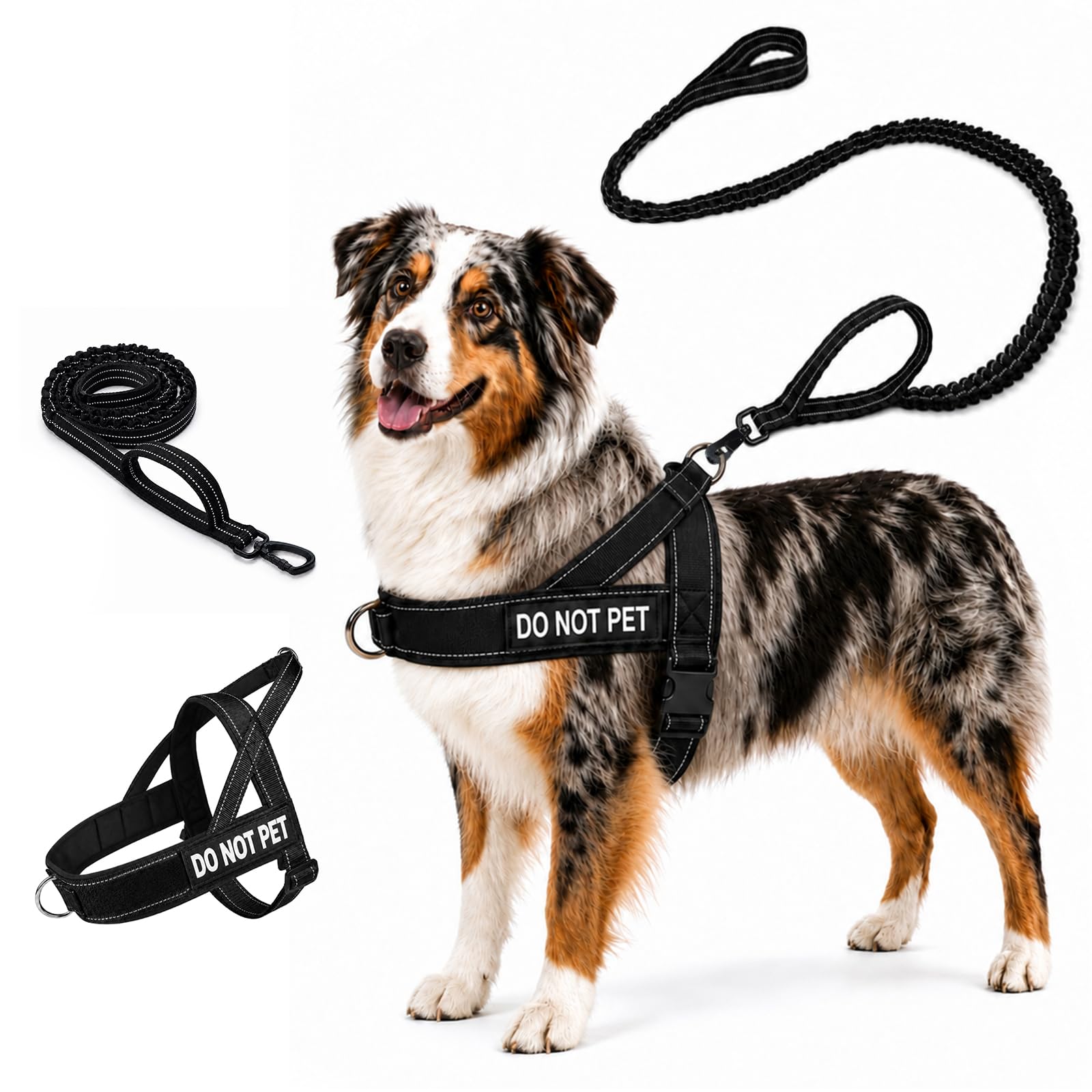 Arnes Perro Grande Mediano, Arnés Antitirones con Correa Incluida, Chaleco Ajustable de Nailon con Anillas Pecho y Espalda, Transpirable Reflectante para Pasear Entrenar Negro Talla M