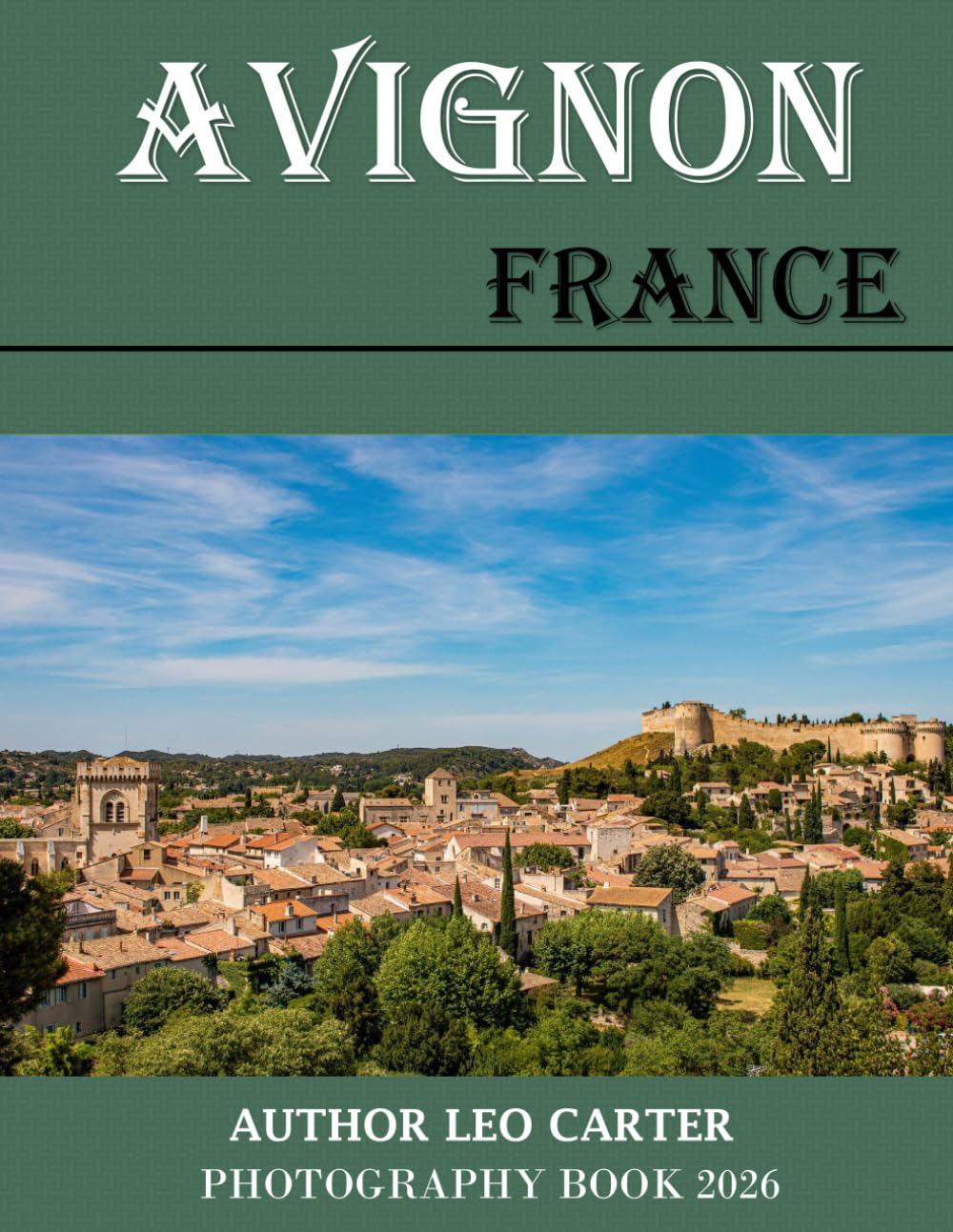 Avignon France: A Collection of 40 Scenic Photographs Showcasing the Avignon France