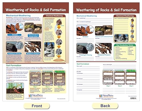 Miniatura 4 de NewPath Learning Earth's Surface - Tablón de anuncios, juego de 3 unidades, laminados, de doble cara, a todo color, 12 x 18 pulgadas (94-8004)