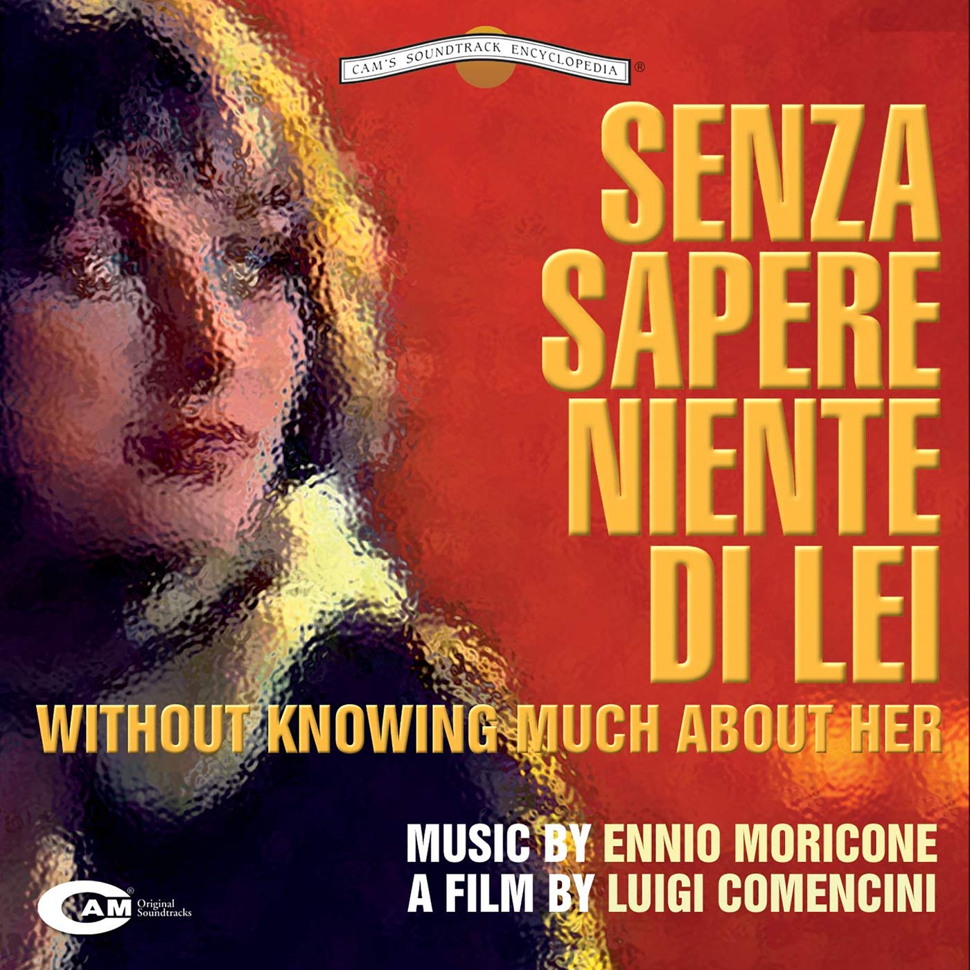 Senza sapere niente di lei [VINYL]
