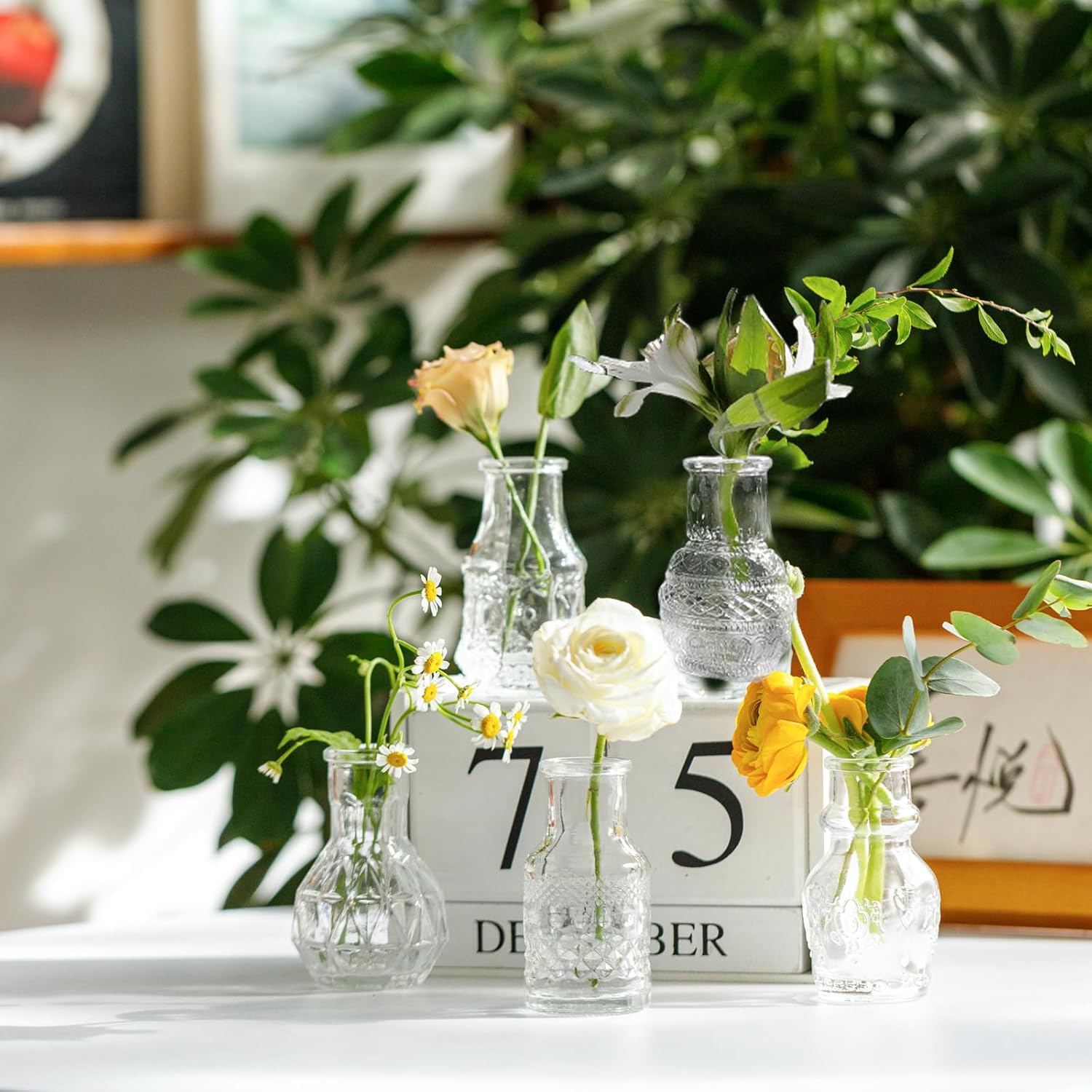 Glass Bud Vase Clear Mini Vases 5Pcs EylKoi Flowers Cute Vintage Small Glass Tiny in Bulk Different Shape Modern Set Lovely for Decor Table Wedding Home Table Centerpieces Dinning Party