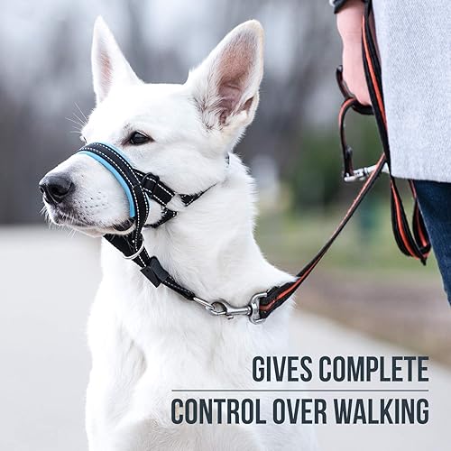 Best Dog Halters Best For Pets The 7 Best Dog Halters
