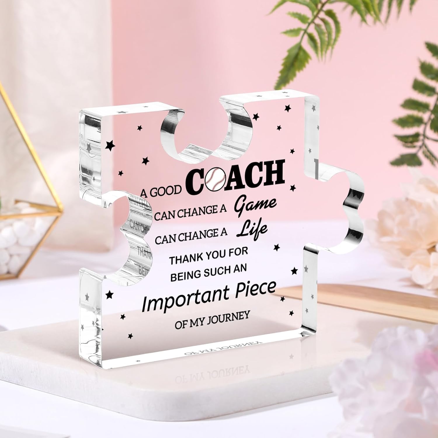 Funnli Baseball Coach Gifts Acrylic Plaque, Thank You Birthday Christmas Thanksgiving Gifts for Baseball Coach Hockey Soccer Football Volleyball Team Fitness Instructor - Image 8