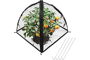 Strawberry Plant Protector: Ultimate Defense for Your Berries