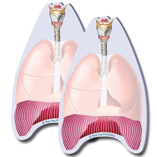 Notas adhesivas para pulmones, paquete de 2, 100 hojas por paquete
