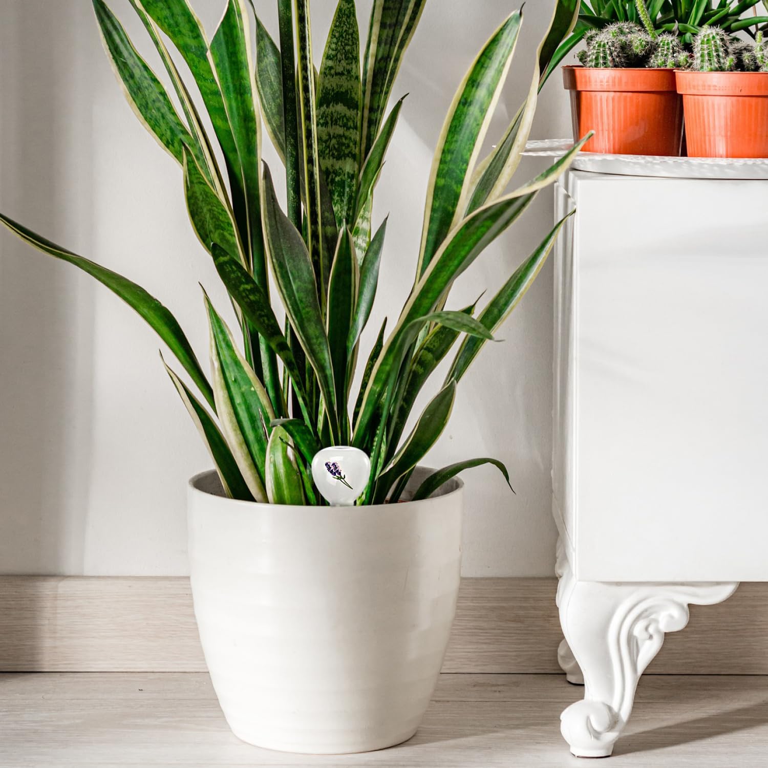 4 stuks irrigatieballen voor planten, klei, paddenstoelvorm, planten