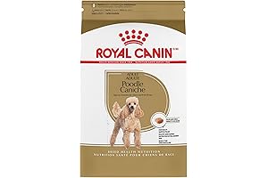 Royal Canin Indoor Dry Dog Food: Nurturing Your Indoor Dog's Well-being