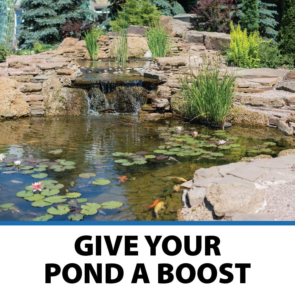 CrystalClear PondShock Ball, Natural Enzymes & Live Bacteria, Freshwater Clarifier Shock Treatment, Muck & Sludge Remover for Small Pond & Outdoor Water Garden Ponds, Koi Fish & Aquatic Plants Safe