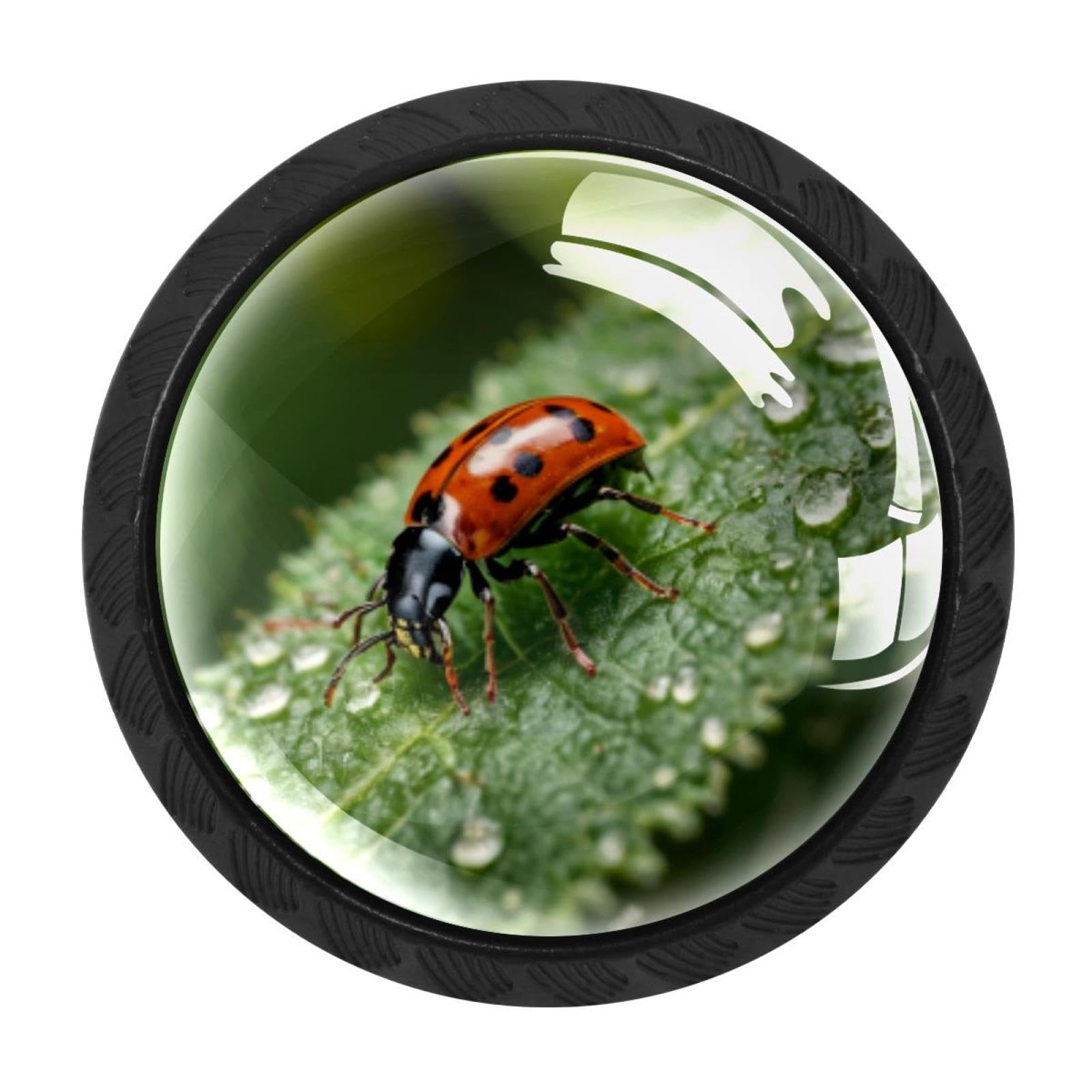 CHENZZZZ 4 Pack Insects Ladybug Bee Spider Ant (2) Kitchen Cabinet Knobs Drawer Knobs Dresser Knobs Matte Black Zinc Knobs Drawer Pulls Door Knobs Dresser Drawer Handles Knobs for Dresser Drawers