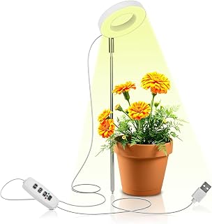 blackt-electrotech-bt29ple-full-spectrum