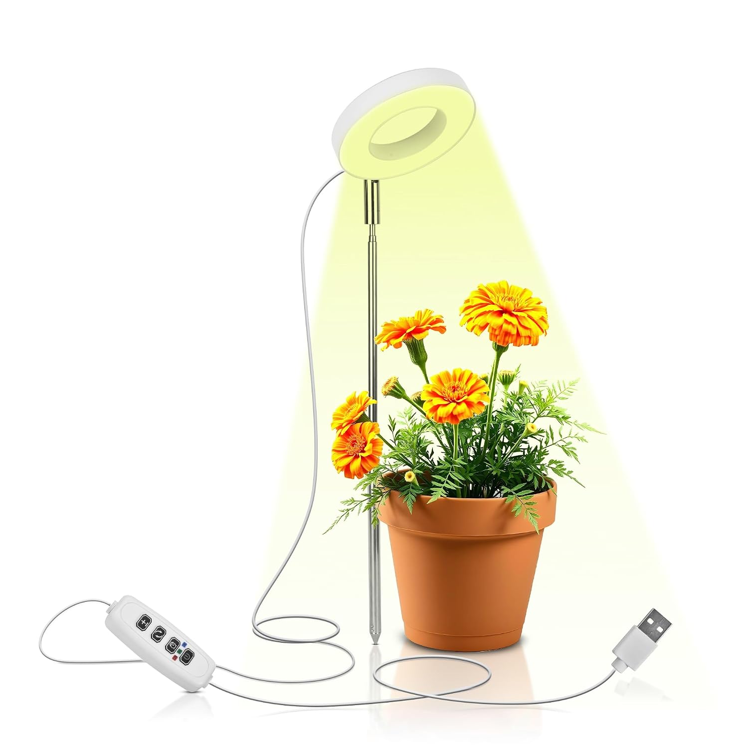 Blackt Electrotech BT29PLE Full Spectrum Plant Grow Light – Adjustable Height, Automatic Timer, USB Powered 5V Safe Voltag... - Review, Price and Buying Guide
