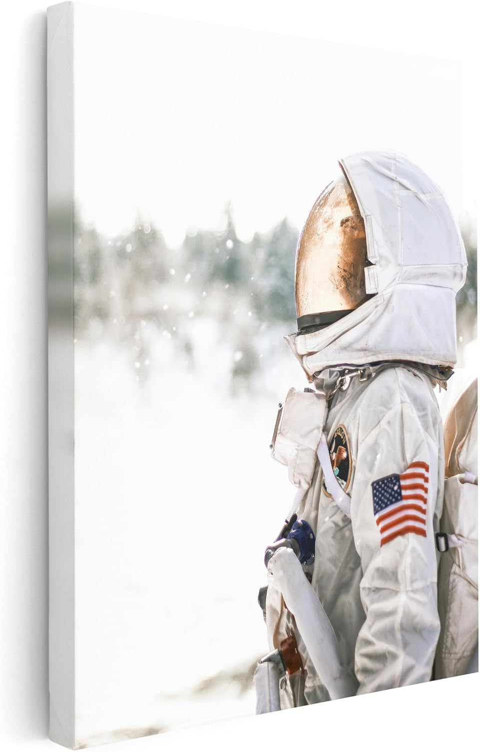 Poster Master Astronomy Canvas - Nasa Astronaut Print Print - Wall Decor for Home, Office, Living Room - Gift for Astronomy, Astrology, Lunar Fans - Solar System Art - 8x10 STRETCHED Canvas