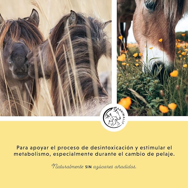 Foto 3 de 8 de Líquido para Hígado y Riñones para Caballos