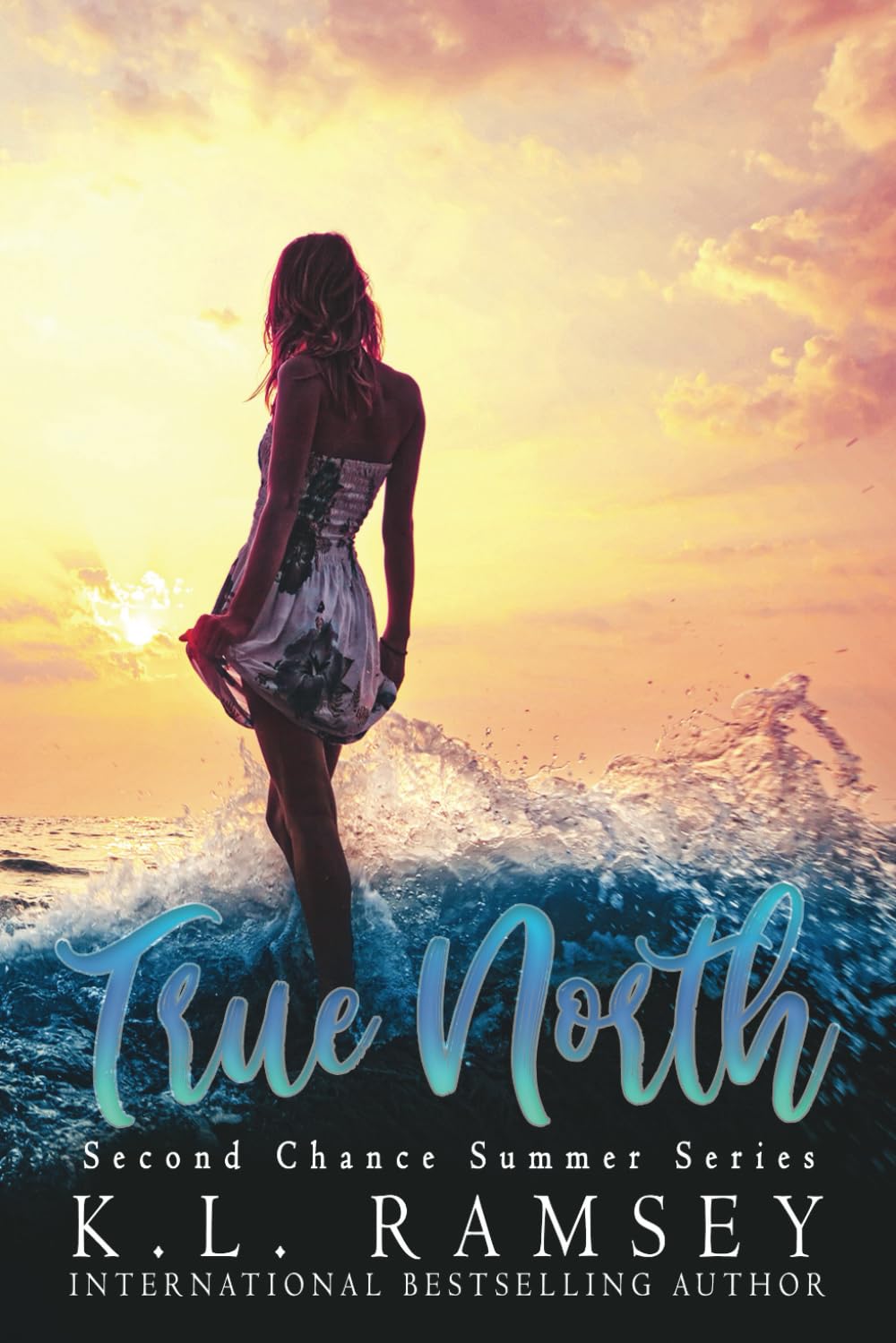 True North: Second Chance Romance, Summer Romance, Beach Romance, Alpha Hero, Sexy Scientist: 1 (Second Chance Summer)