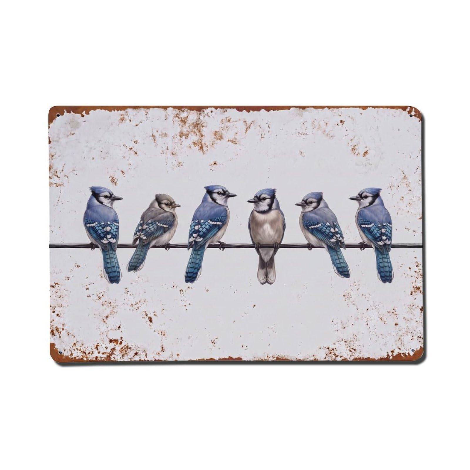 Vintage Retro Birds Blue Jay Metal Tin Sign
