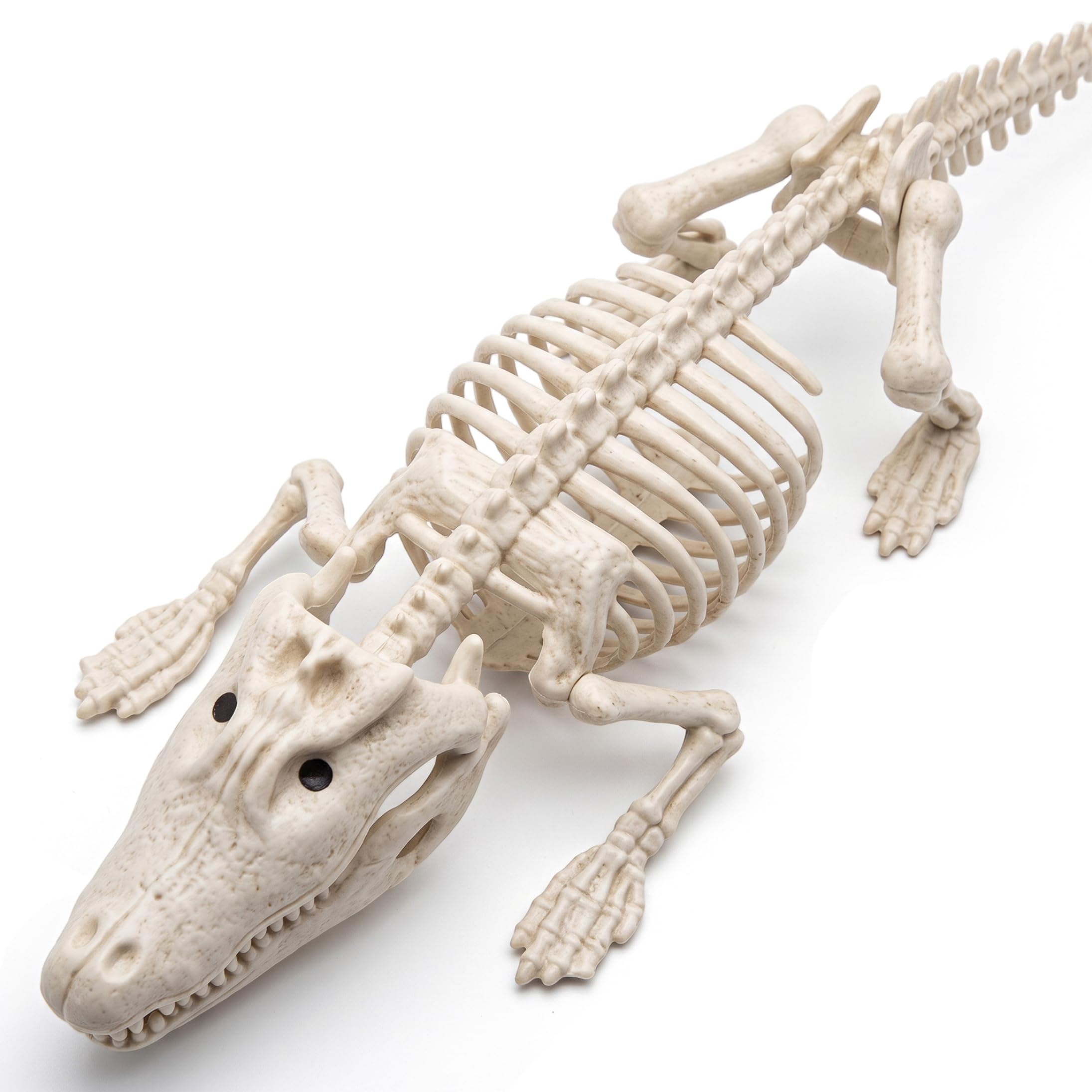 Apprelady Halloween Skeleton, Realistic Animal Skeleton Prop Milky White Resin Crocodile For Halloween Indoor Outdoor Decor
