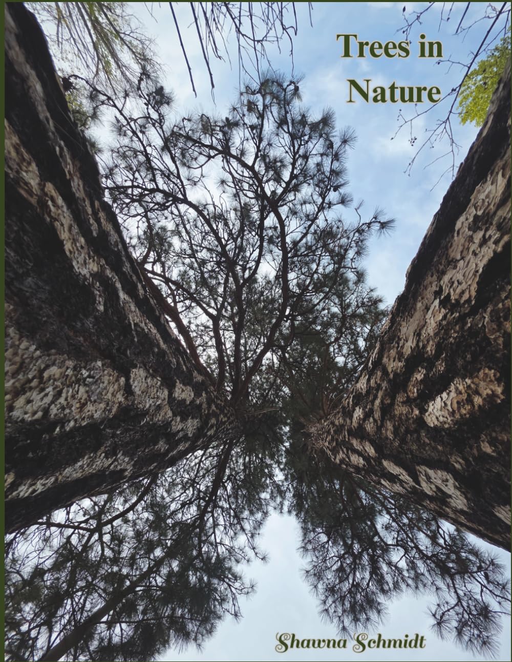 Trees in Nature: Coffee Table Book