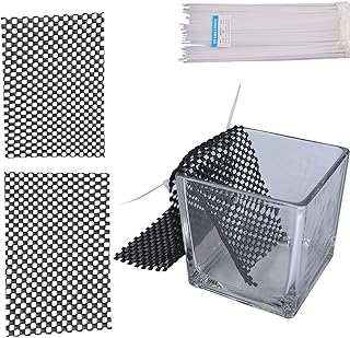 Hermit Crab Water Tank: Hermit Crab Kit Hermit Crab Cage Hermit Crab Supplies with Climbing Ramp for Small or Medium Hermit Crab Habitat