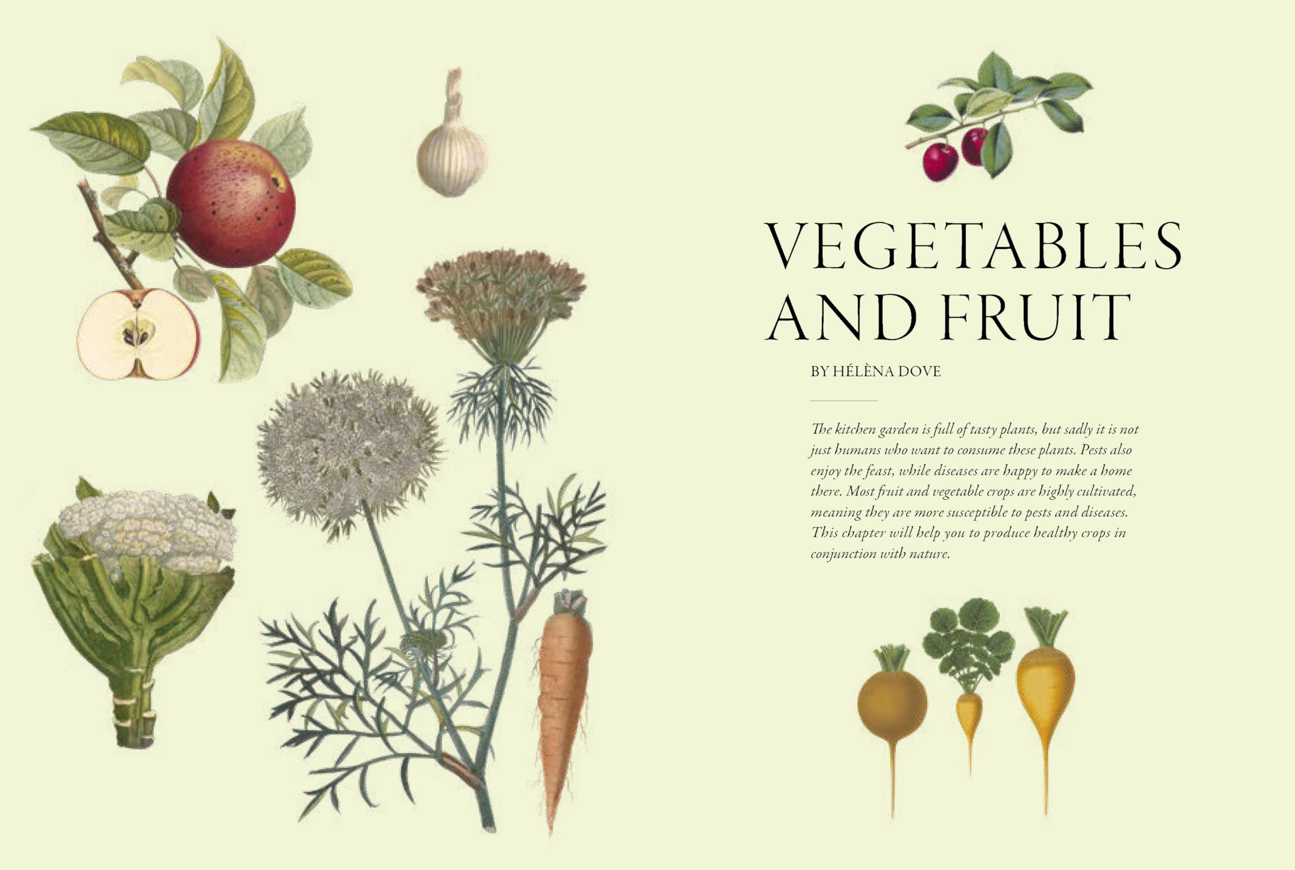 Gardener's Companion to Pests and Diseases: A Guide to Diagnosis, Treatment & Prevention