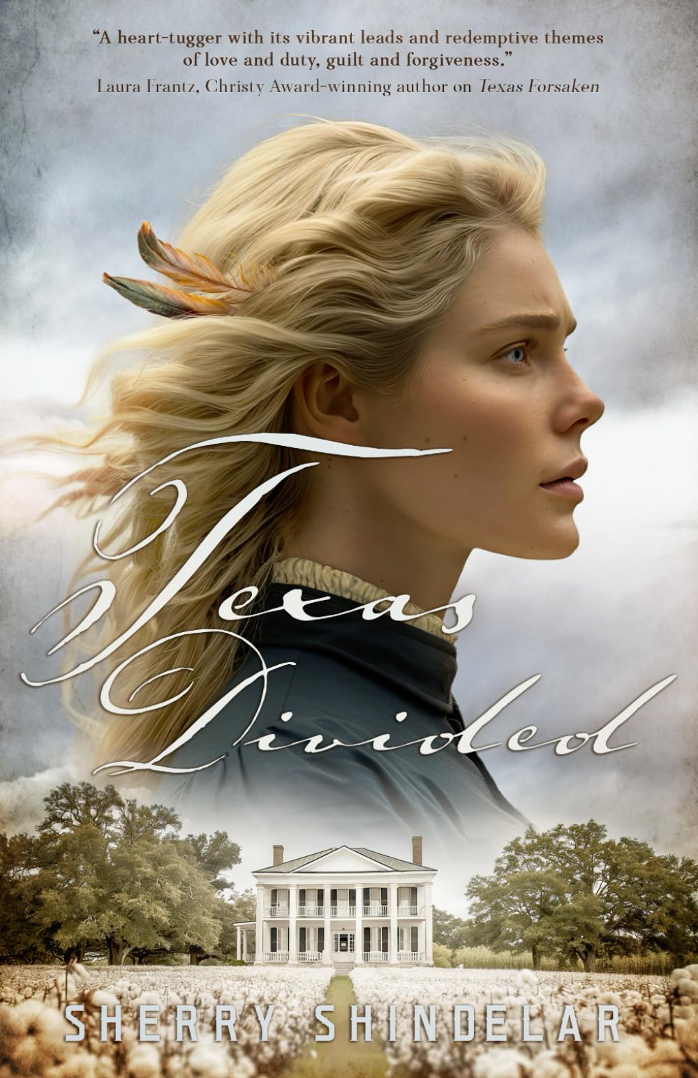 Texas Divided (Lone Star Redemption)