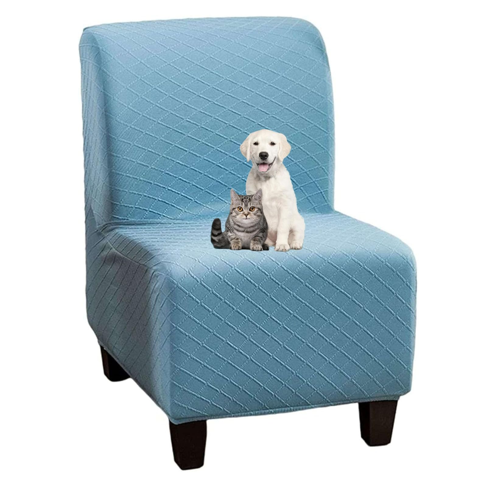 Housse de chaise d'appoint contre les animaux et les griffures