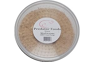 Live Mealworms for Reptiles - 1,000 Count
