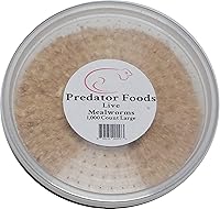 Vista 1 de Gusanos vivos a granel - 1000