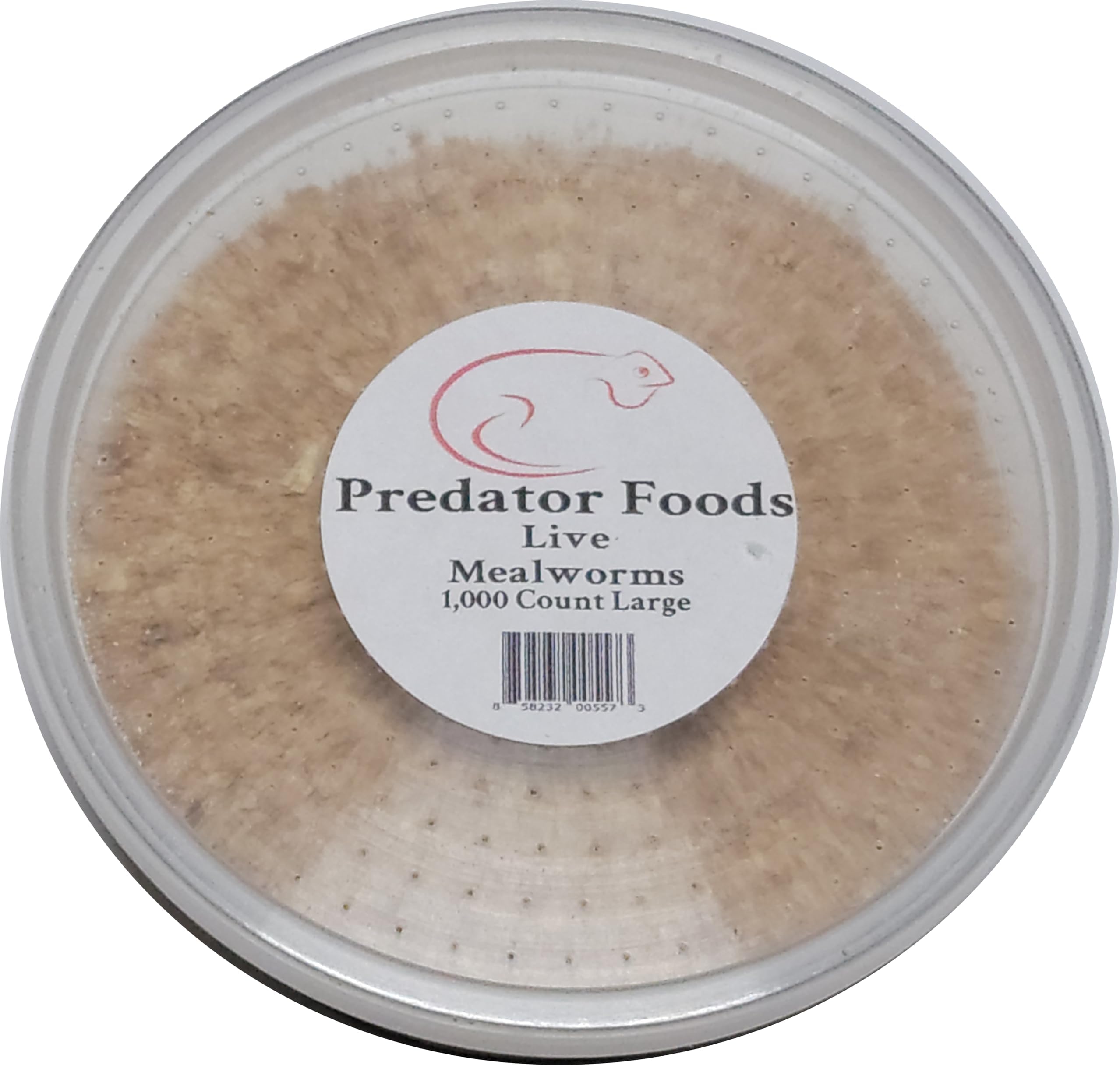 Predator Foods Bulk Live Mealworms - 1,000 Count (Large - ~.75")