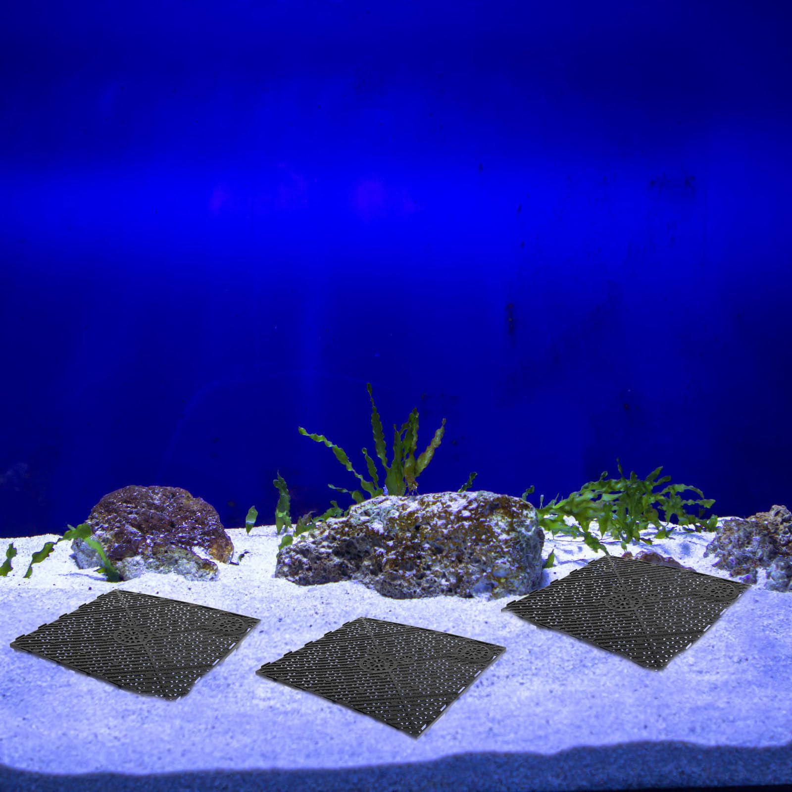 MAGICLULU Plaques Filtrantes Filtration de Fond Lot de 20 en PVC pour Aquarium, Installation par Emboîtement, Souplesse et L’élevage de Poissons