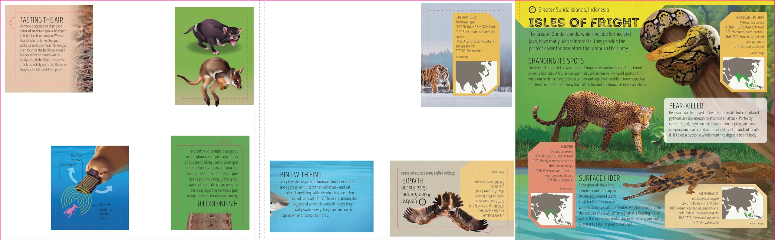 Deadly Animal Atlas -anglais-: Amazing Facts, Fold Out Maps & Lift the Flaps | Meet Snakes, Sharks, Tigers, Jellyfish & More | Packed with Beautiful Illustrations