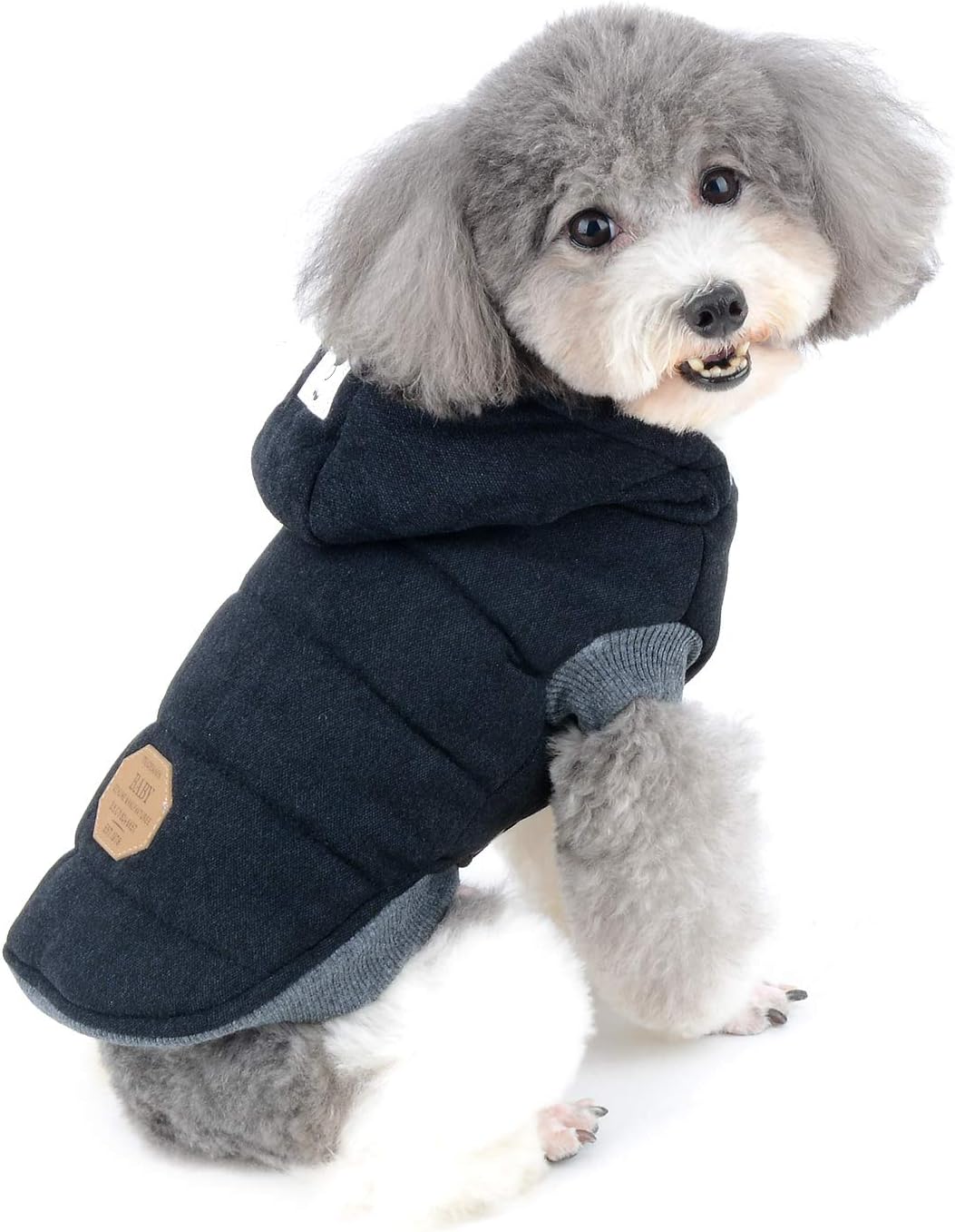 SMALL DOG - Urban Dog Hooded Jacket main image 0